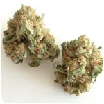 Шишки "White Widow" (Белая вдова) Гидропоника - Бошка VHQ в Заволжье Шишки "White Widow" (Белая вдова) Гидропоника - Бошка VHQ в Заволжье