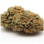 Шишки AK47 (Гидропоника, Бошка) VHQ в Заволжье Шишки AK47 (Гидропоника, Бошка) VHQ в Заволжье