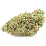 Шишки OG Kush (Гидропоника, бошки) VHQ в Заволжье Шишки OG Kush (Гидропоника, бошки) VHQ в Заволжье